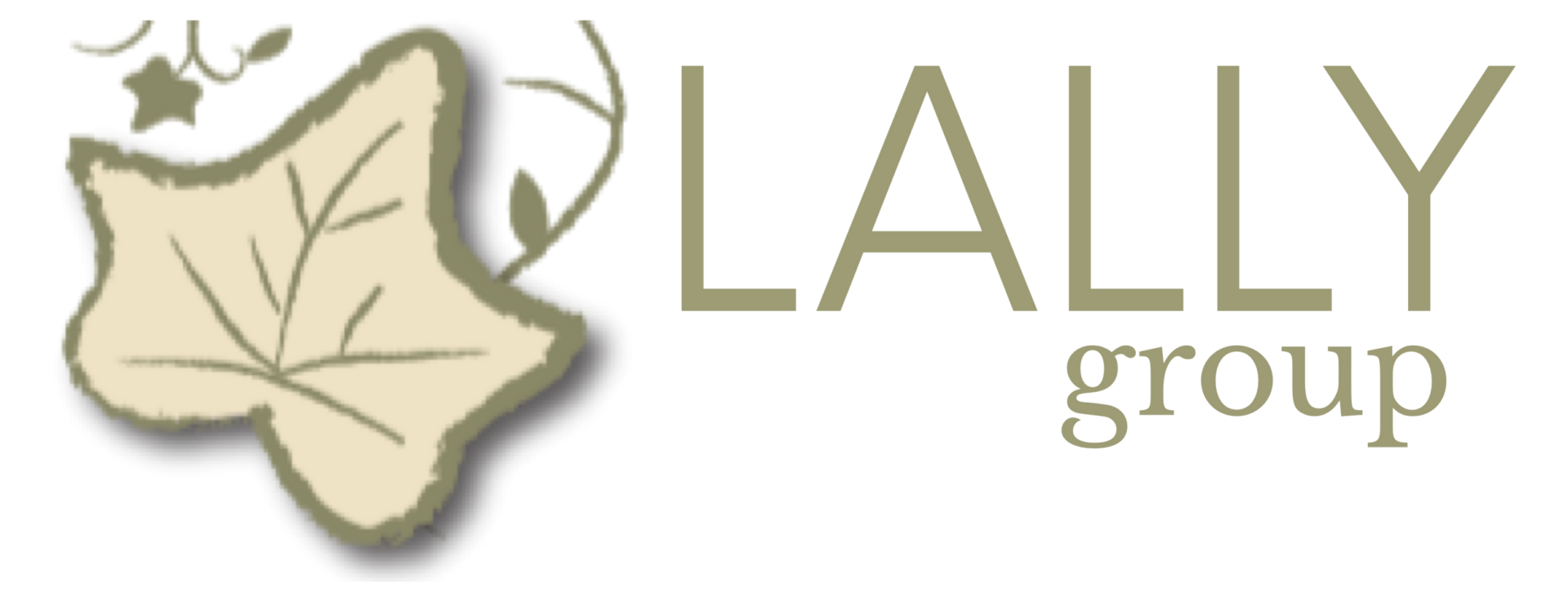 Lally Group CPA & Firm360