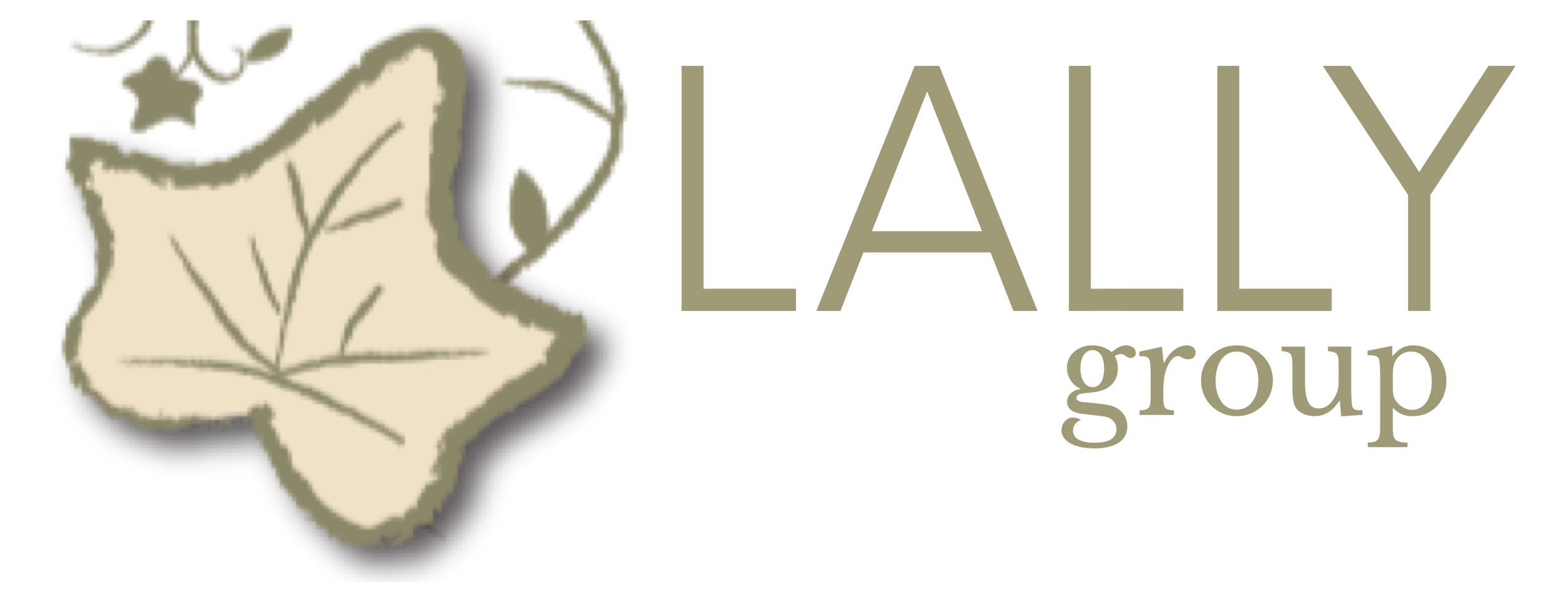 Lally Group CPA & Firm360