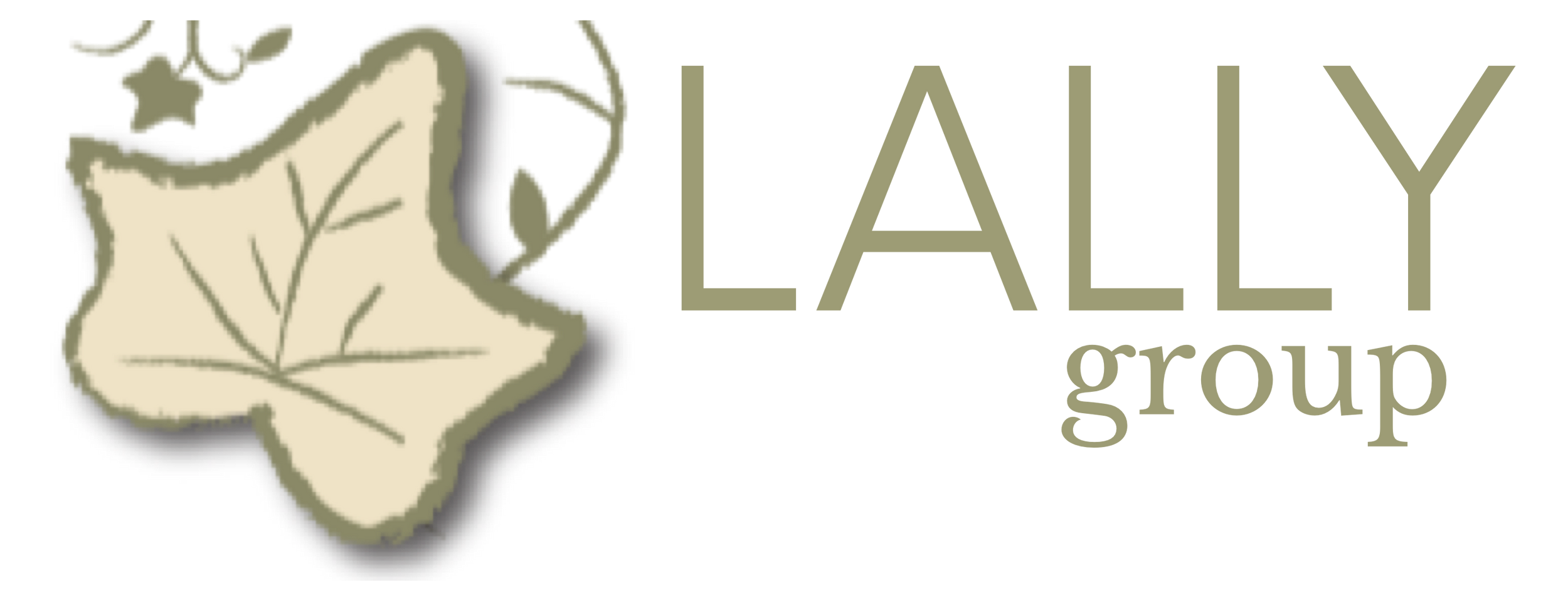 Lally Group CPA & Firm360